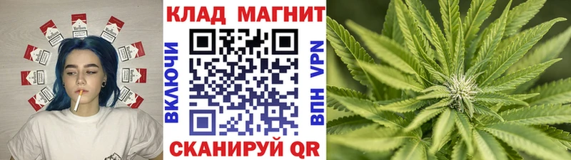 Наркошоп купить Псилоцибиновые грибы  Канабис  A PVP  ГАШИШ  ГЕРОИН  КОКАИН  Меф  Зеленодольск